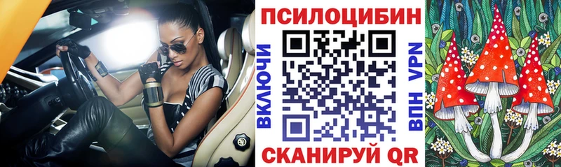 Купить закладки  Мытищи  Псилоцибиновые грибы Psilocybine cubensis 