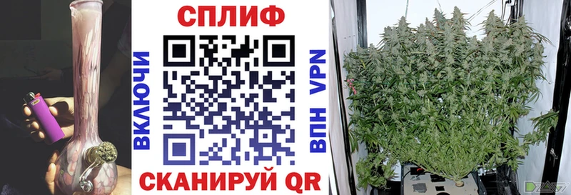 Шишки марихуана Bruce Banner  Купить где  Мытищи 